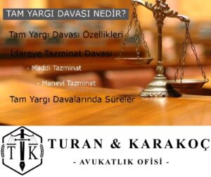 tam yargi davalari